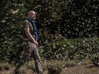 A picuture taken on February 9, 2021,shows Cyril Ferrand, the United Nations Food and Agricultural Organisation (FAO) Resilience Team Leader for eastern Africa, walking in a swarm of desert locust in Meru, Kenya. Yasuyoshi CHIBA / AFP