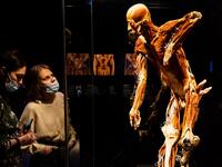 People visit the "Body Worlds", the anatomical art exhibition of plastinated human bodies