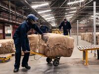 Tobacco season starts in Harare