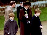 Diana, the Princess of Wales