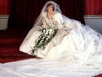 Diana, the Princess of Wales