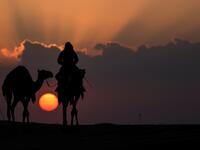 Mazayin Dhafra Camel Festival