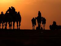 Mazayin Dhafra Camel Festival