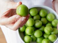 فوائد تناول الجارنك أو الكرز الأخضر في فصل الربيع