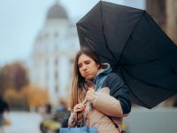 أجمل عبارات عن شهر نوفمبر لاستقبال فصل الشتاء أجمل عبارات عن شهر نوفمبر لاستقبال فصل الشتاء