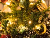 10 معلومات عن أصل شجرة الكريسماس