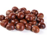 فوائد الكستناء للجهاز الهضمي