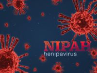 Nipah virus