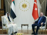 Erdogan and Greek PM postpone UAE visits amid MBZ health