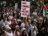 Pro-Palestinian protest