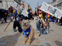 Dog owners and their pets gather before participating in a pro-EU, anti-Brexit march, calling for a "People's Vote on Brexit", in central London on October 7, 2018. (Tolga AKMEN / AFP)