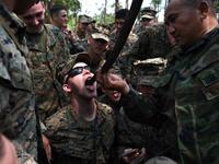 A Thai soldier holds a slaughtered snake while a US Marine drinks its blood during a jungle survival training in the joint 'Cobra Gold' military exercise in Chantaburi province 
Lillian SUWANRUMPHA / AFP