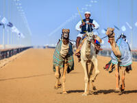  Practicing for camel racing at the Dubai Camel Racing Club (Shutterstock/File Photo)