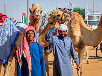 With their handlers at the Dubai Camel Racing Club (Shutterstock/File Photo) 