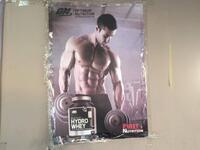 Protein supplements gym poster