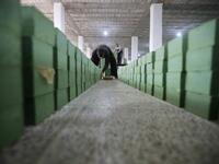 Syrian workers arrange olive soap bars in a factory on the outskirts of Aleppo 
LOUAI BESHARA / AFP