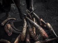 A man picks some cow horns to add them to the boiling water to clean them at Kaduna Abatour meat market in North Kaduna CRISTINA ALDEHUELA / AFP