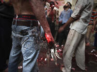 تبعا للشيعة فإن الحسين يشفع للمسلمين وهذا يعطي الحسين رضي الله عنه وظيفة المخلص المباشر للأبد من خلال معاناته وآلامه وتضحيته بنفسه وهذه التضحية بالنفس تذكرنا بعقيدة صلب المسيح في المسيحية مع الاختلاف في الهدف. 