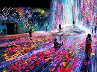The Mori Digital Art Museum, Japan. (borderless.teamlab.art)