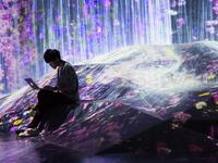 Japanese collective teamLab are opening this summer a museum dedicated entirely to their unique brand of artwork. (AFP/File)
