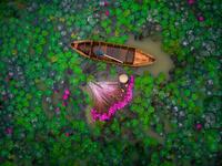 الجائزة الثانية عن فئة الناس صورة بعنوان "Waterlily" "زنبق الماء" التقطت من قبل هيليوس 