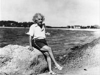 Einstein in shorts on the seaside 