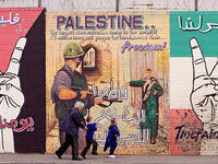 Pro-Palestine Irish 