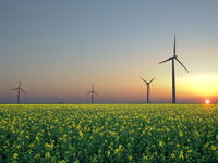 Oil is - and will be for some time - the lifeblood that keeps the industrial world going. But initiatives by Europe, the US, and other regions to promote alternative energy could very well threaten Saudi’s energy stranglehold. 