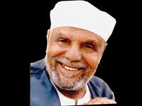 Muhammad Metwally El-Shaarawy