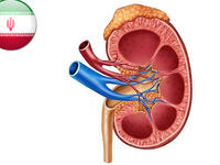 This one we can’t really wrap our head around, but the most Googled cost estimation in Iran was a kidney. The question at hand is really, are they looking to buy or sell?!