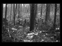 swissair flight 330 bombing