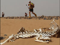 Jordan Sahara Race