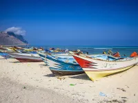 Salmon Fishing in the Yemen
