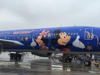 China Eastern reveals Disney-themed plane alongside Shanghai Disney opening. (WEIBO)