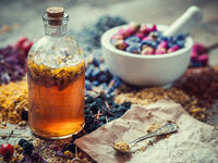 the elixir of life