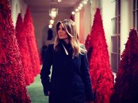 (@FLOTUS/ Twitter)