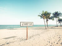 Landscape of coconut palm tree on tropical beach in summer. Beach sign for surfing area. (Shutterstock)