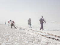 Egyptian limestone quarry workers