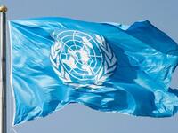 المنظمة الأممية