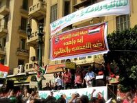 Five socialist political parties plus two syndicates formed the "Coalition of Socialist Forces party alliance" including one Islamist party, 
the Egyptian Branch, and Egypt's Communist Party. Also known as "Revolution Still" - sprung up post 
Tahrir and carrying much of the revolutionary elements - the seven members' symbol is the pyramid.