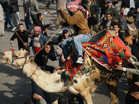 A supporter of embattled Egyptian president Hosni Mubarek rides a camel through the melee during a clash between pro-Mubarek and anti-government protesters in Tahrir Square.