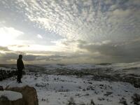A Lebanese forest ranger observes the sunset from the cedar trees reserve of Baruk in the Shouf mountains, southeast of Beirut, following a snow storm and cold wave which hit the east Mediterranean country after several months of drought.
