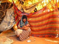 In Dubai, they waste 20 per cent of food. Stopthehunger.com, 
a website that updates statistics on world hunger in real time, showed there are 1.016 billion undernourished
people in the world. It is a global food scandal, as one author put it. 