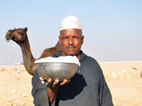 Camel milk for soft skin
