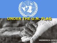 Bosnia UN Srebrenica watershed for peacekeeping 1995