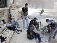 fsa cat birds