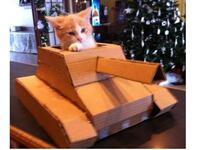 fsa cat tank