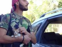fsa cat