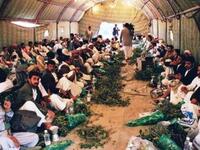 Yemenis gather to chew Qat in a tent