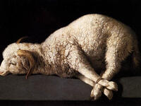 التضحية بالحيوانات 